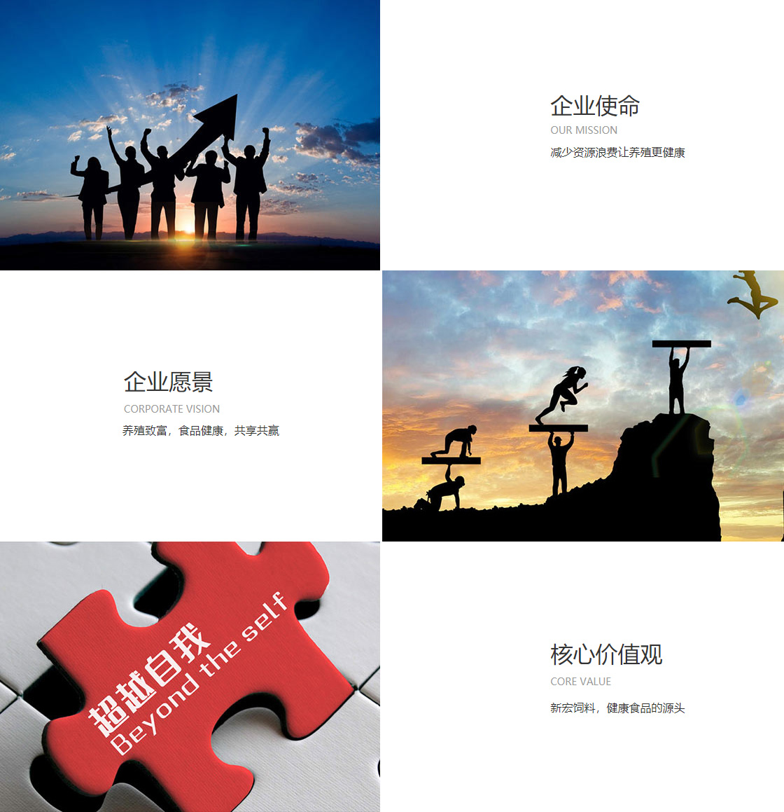 开云官方端网站登录入口(图1)